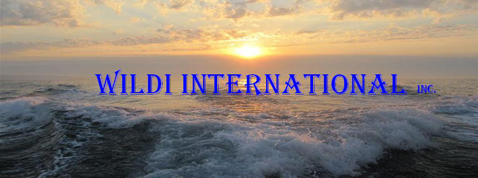 Wildi International